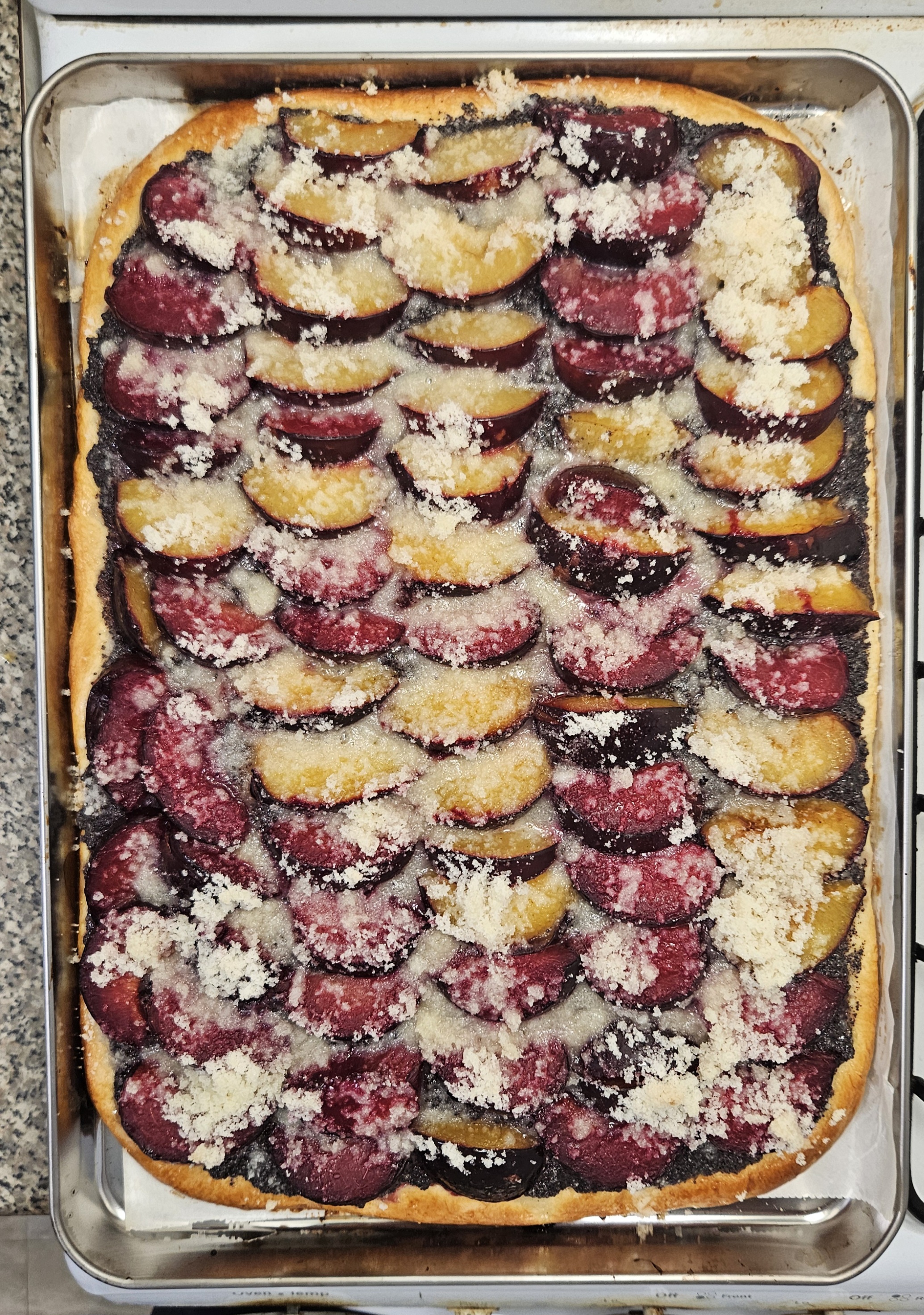Český Švestkový Koláč (Czech Plum Cake)
