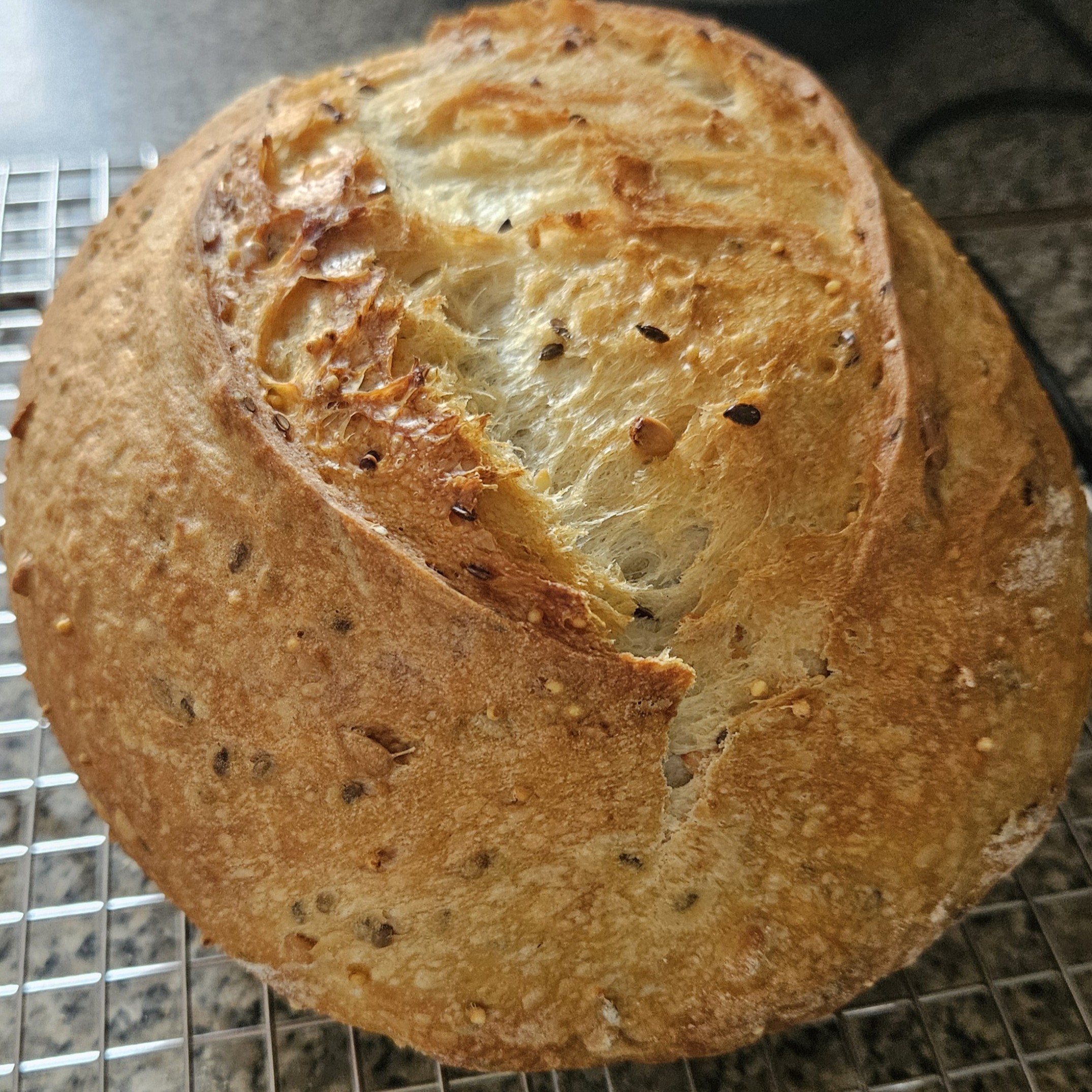 20250731_125117sourdough