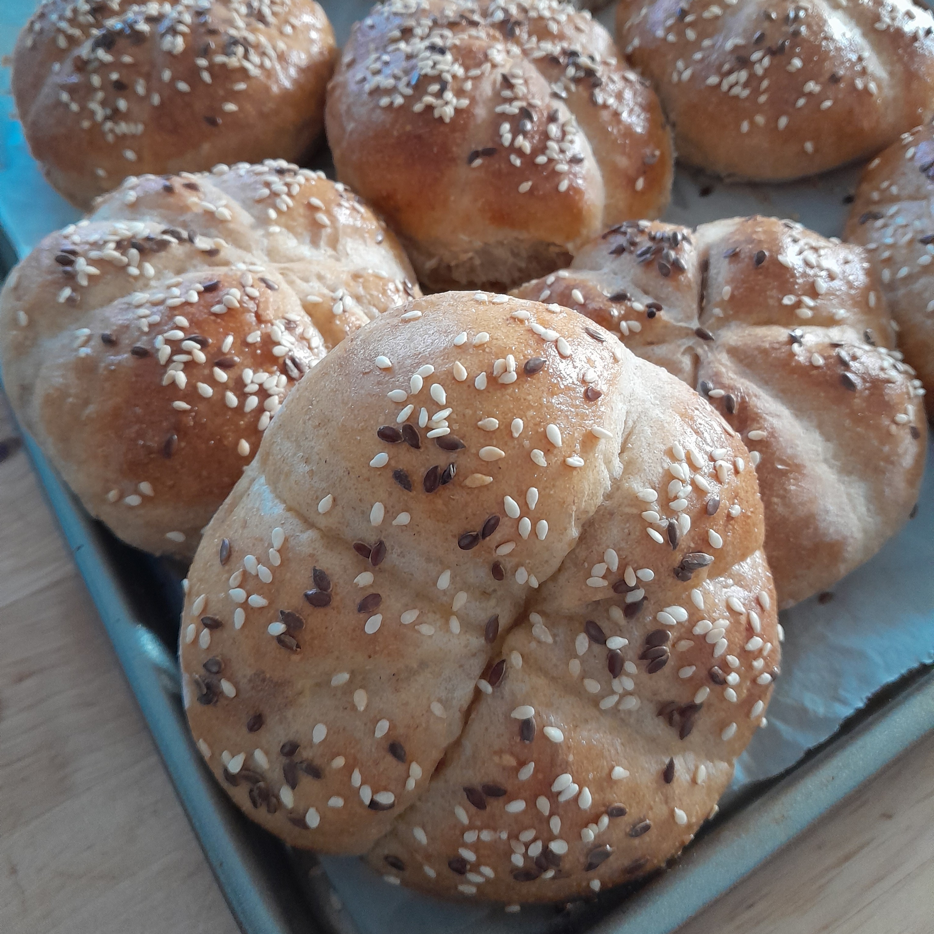 20230319_172535kaiserka1